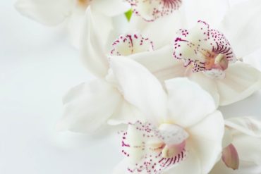 Space Clearing Practices to Improve Energy and Wellness