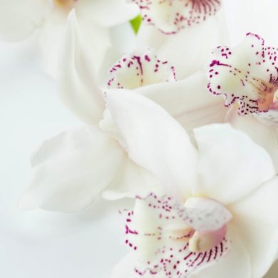 Space Clearing Practices to Improve Energy and Wellness