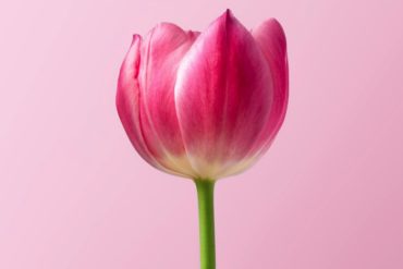 Why You Might Need to Get Over Yourself