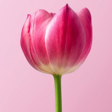 Why You Might Need to Get Over Yourself