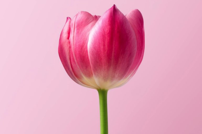 Why You Might Need to Get Over Yourself