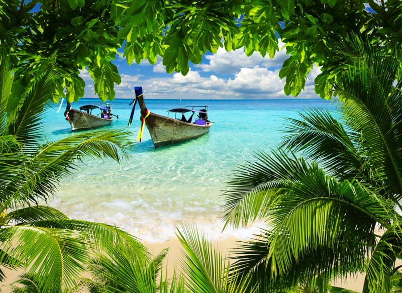 beautiful beach and tropical sea