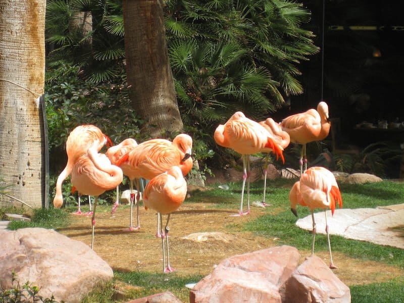 Credit: Jenni Konrad - https://www.flickr.com/photos/queen_of_subtle/