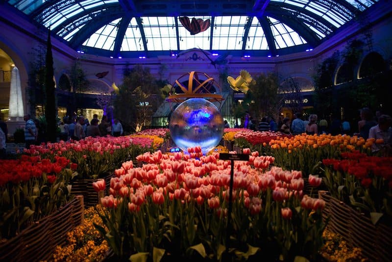 Credit:Caitlin Childs - https://www.flickr.com/photos/nerdcoregirl/