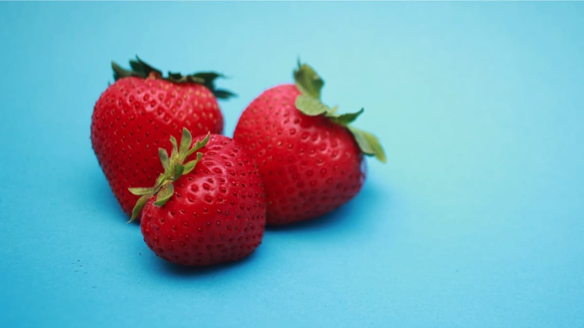 6 Foods that Can Help Save Your Skin from Sun Damage