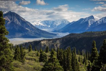 Energy Healing with the Help of Nature