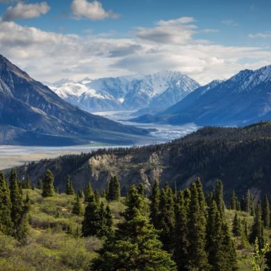 Energy Healing with the Help of Nature