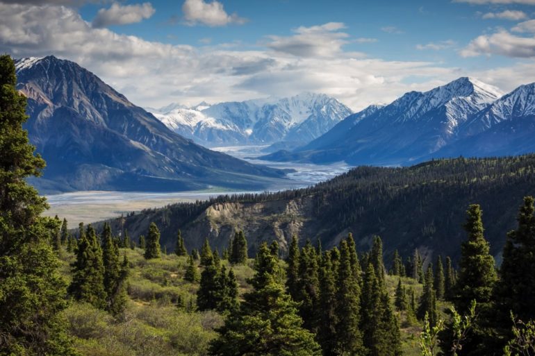 Energy Healing with the Help of Nature