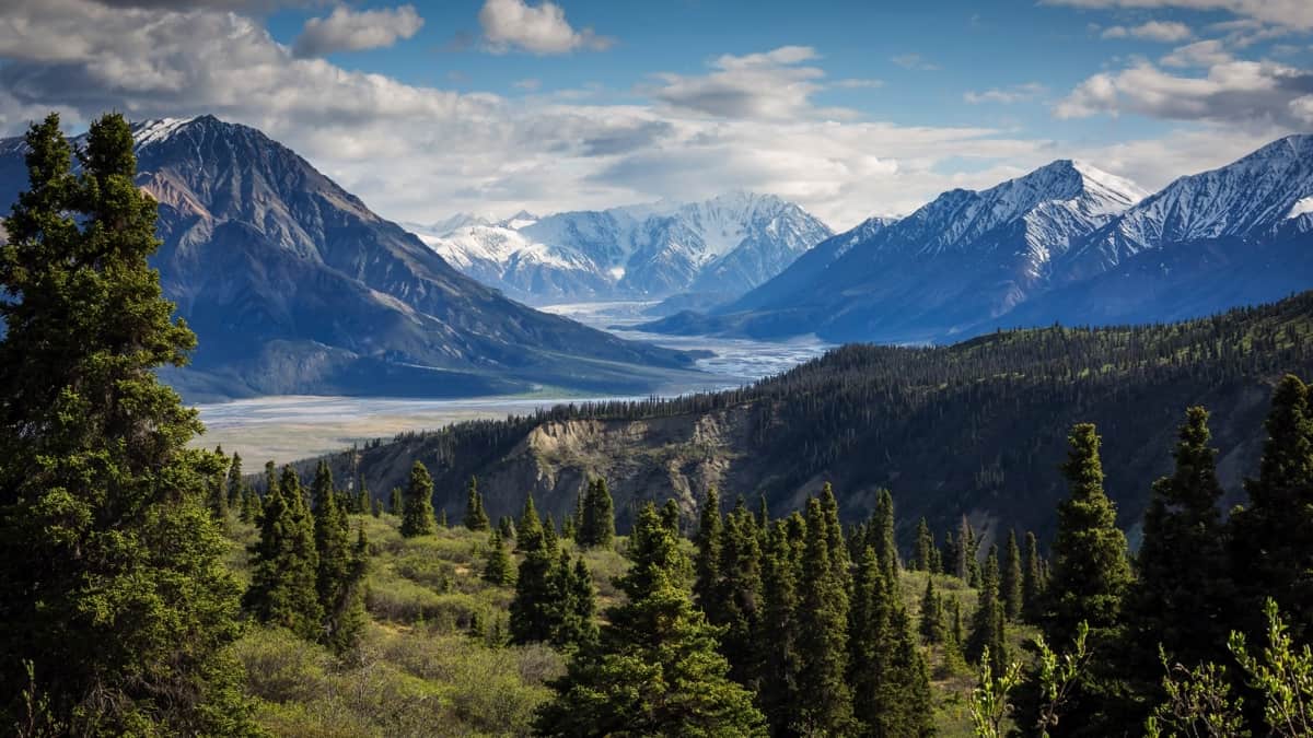 Energy Healing with the Help of Nature