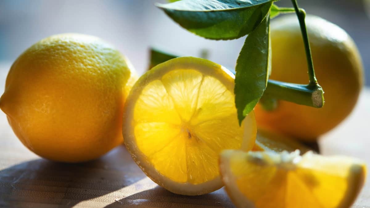 Pucker Up! 10 Easy Ways to Enjoy Lemons This Summer